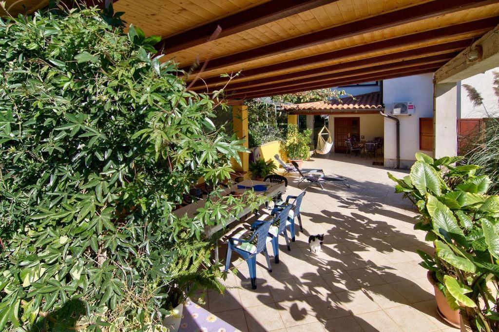Apartments Caterina Pula Dış mekan fotoğraf
